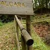 Caccia al Tesoro (media)